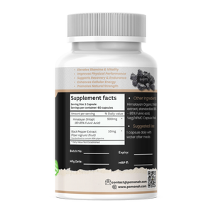 🏔️ Organic Himalayan Shilajit – Natural Vitality & Energy Support