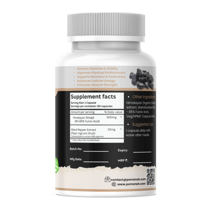 🏔️ Organic Himalayan Shilajit – Natural Vitality & Energy Support